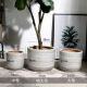 Simple Nordic large size tiger orchid floor-standing green plant flower pot ceramic balcony extra large oversized clearance courtyard creative