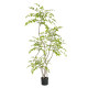 Simulated green plant Nandina bamboo indoor living room TV cabinet high-end bionic green plant floor-standing potted atmosphere tree
