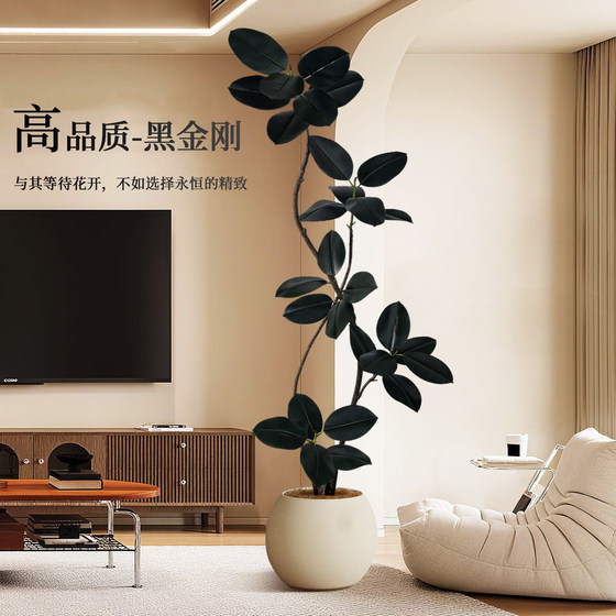 Simulated green plant black diamond rubber tree floor decoration