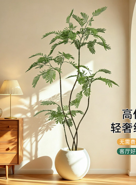轻奢室内客厅蓝花楹仿真盆栽