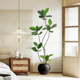 Home high-end decorative green plants simulated rubber trees