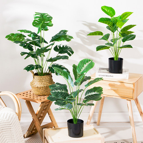 仿真绿植小盆栽龟背散尾葵客厅室内落地摆件装饰假花植物桌面摆设 - 图1