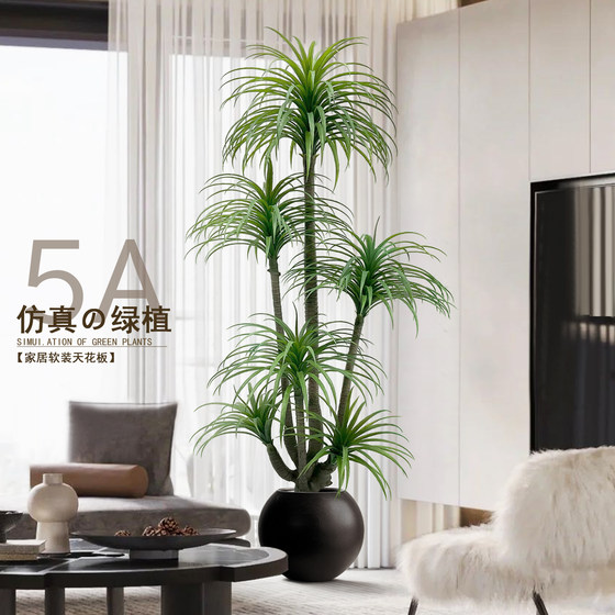 Simulated green plant Dracaena indoor living room TV cabinet