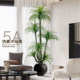 Simulated green plant Dracaena indoor living room TV cabinet
