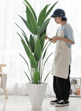 仿真植物美人蕉盆栽大型北欧客厅