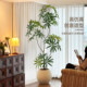 Fake green plant peacock wood high-end light luxury indoor living room large floor-standing ornaments decorative tree high-quality bionic plants