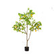 Love pomelo simulation lemon tree ins internet celebrity style