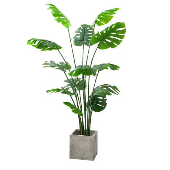 Love pomelo turtle back simulation green plant large size