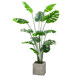 Love pomelo turtle back simulation green plant large size