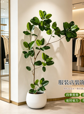 高级氛围感孟加拉榕仿真摆件