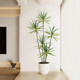 Love pomelo simulated dragon blood tree plant floor ornaments