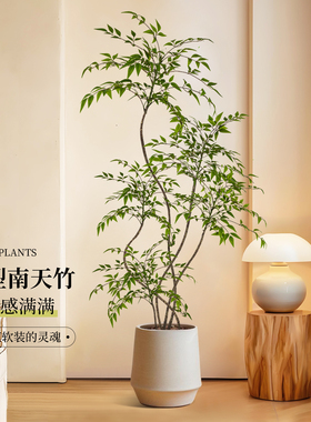 仿真绿植南天竹室内高端轻奢装饰摆件高品质仿生绿色植物盆栽假树