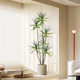 Love pomelo simulated dragon blood tree plant floor ornaments