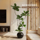 Fake tree bionic black diamond decoration next to the TV cabinet in the living room