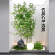 New Chinese style bamboo landscaping combination, simulated green plants, Zen decorative ornaments, screen partitions, high-end fake plants