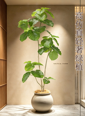大型高端轻奢仿真心叶榕盆栽