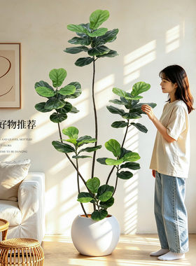 大型仿真琴叶榕盆栽室内装饰摆件