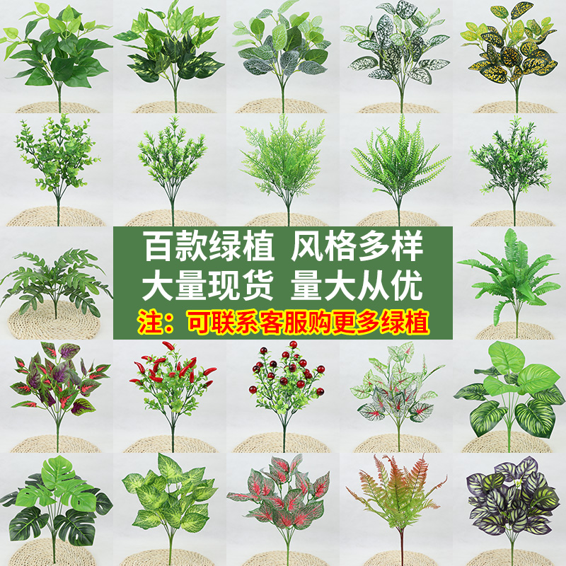 仿真植物墙配饰绿植墙配件造景搭配波斯小草壁挂室内绿色装饰装饰