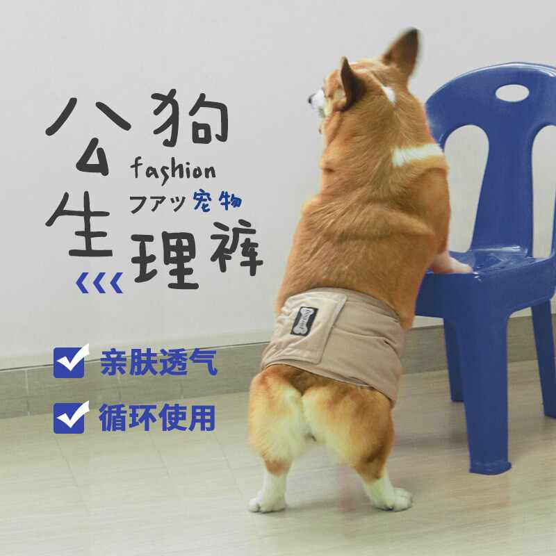狗生理用品 新人首单立减十元 21年9月 淘宝海外