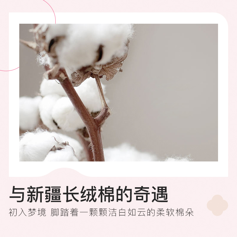 洁丽雅全棉色织床上四件套纯棉提花被套床单2025新款被罩四季通用 - 图1