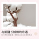 Jieliya pure cotton Xinjiang cotton winter quilt