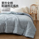 All Seasons Xinjiang Pure Cotton Quilt Jieliya