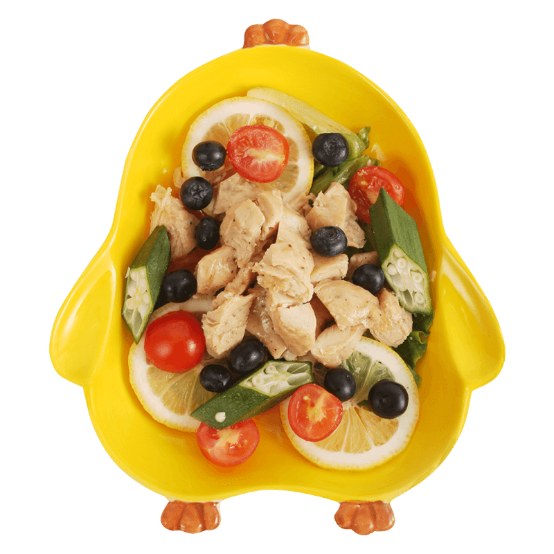 食鲜滋鸡胸肉鲜冷冻健身新鲜鸡脯肉 食鲜滋鸡胸