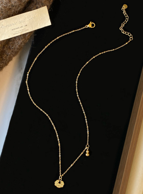 新款金色项链轻奢高级感毛衣链
