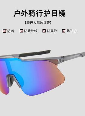 骑行眼镜专业自行车装备防风沙防飞虫太阳墨镜男款雪山登山镜