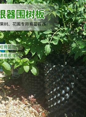植物花盆黑色控根器植树专用