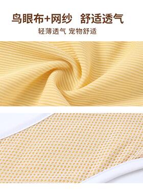 狗狗专用生理裤姨妈裤宠物经期
