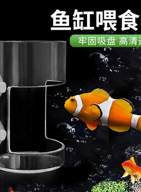 鱼缸喂鱼器鱼食漂浮喂圈悬浮