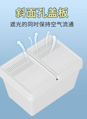 乌龟专用隔离饲养盒带盖育苗沉淀