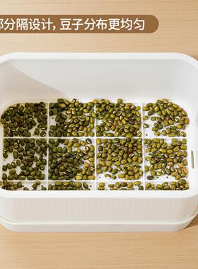 加大款育苗盘种植发芽盆黄绿豆芽