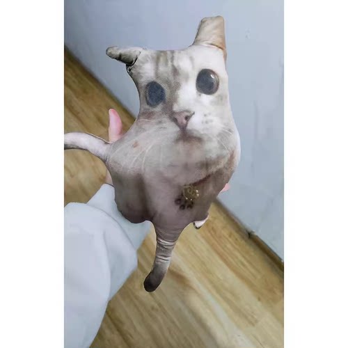 丑猫抱枕定制印照片定做异形玩偶宠物枕头猫狗仿真礼物靠枕靠垫子 - 图2