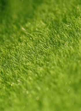 微景观仿真草坪苔藓假生态瓶装饰