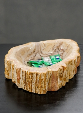 家用茶几木化石多功能简约现代