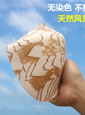 螺贝艺天然山水鱼缸造景地台摆设