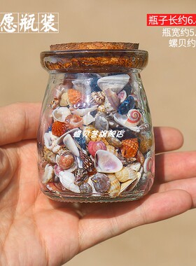螺贝艺许愿瓶装小海螺送女友礼物