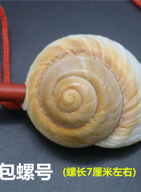 天然工艺品创意礼物儿童玩具海螺