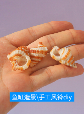 天然海螺贝壳厂家直销鳄皮螺鱼缸水族箱造景diy手工风铃创意摆件