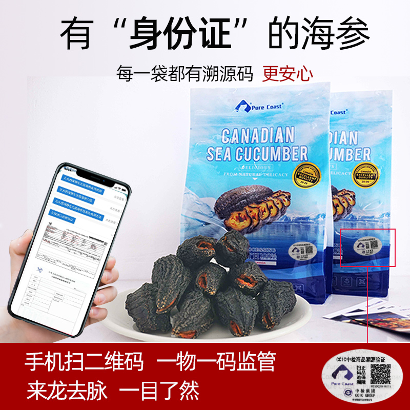 purecoast旗舰店PureCoast加拿大海参进口野生454克淡干货北极圆筒参非冰岛红极参1