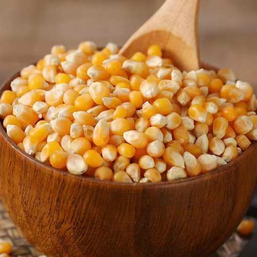 爆米花专用玉米粒家用自制蝶形爆米花小玉米粒电影院同款零食原料 - 图2