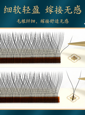 二叶睫毛0.03yy空气超自然