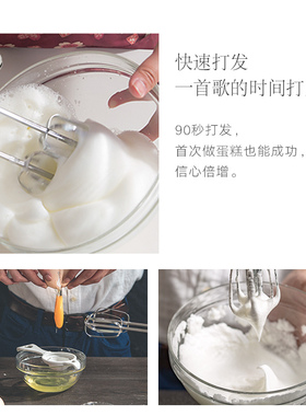 祈和电器配件不锈钢打蛋器