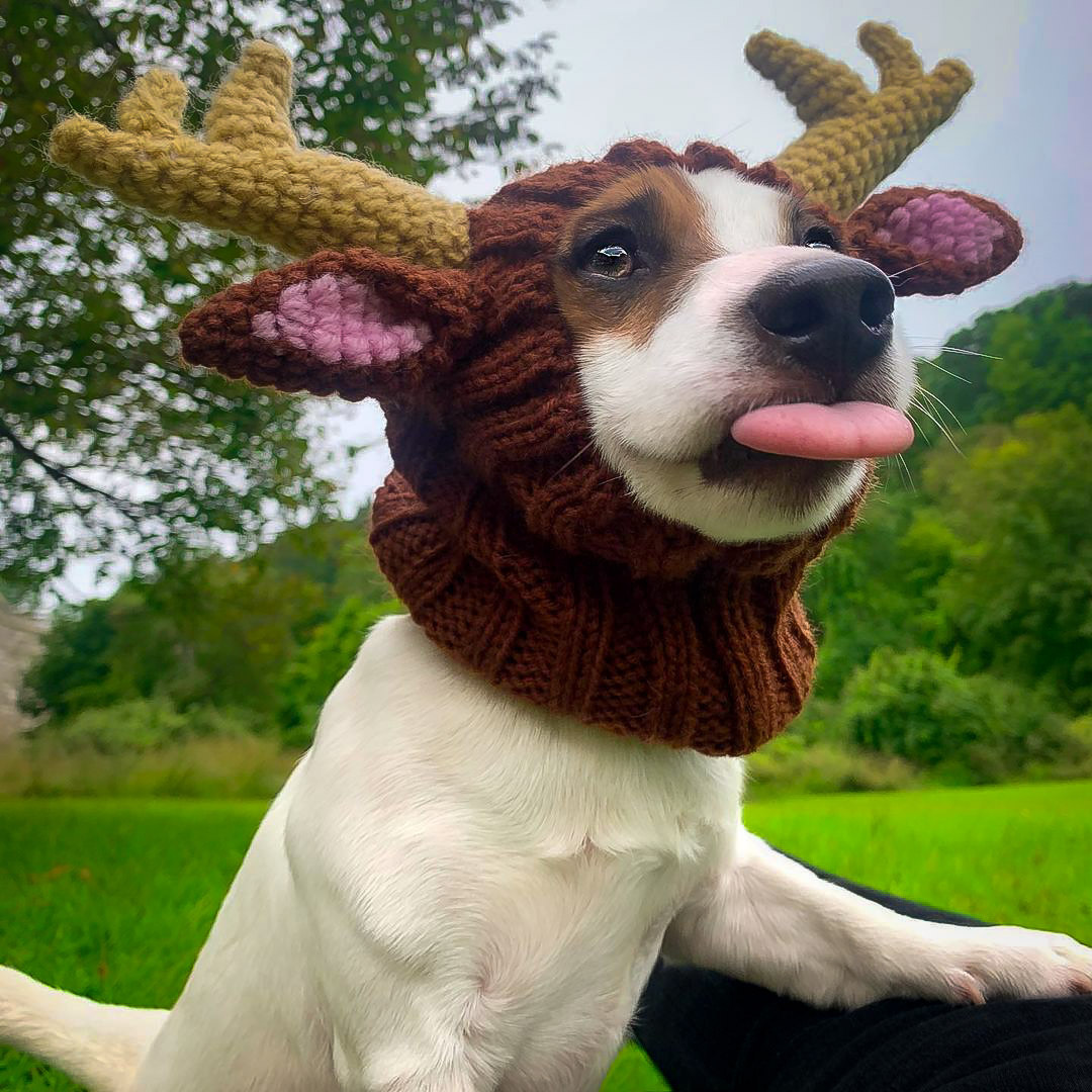 狗狗帽子冬天保暖圣诞节麋鹿变身针织头套法斗柯基中小型犬装饰品-图3