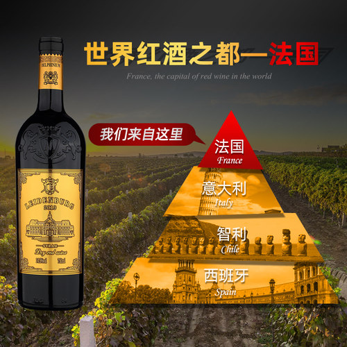 红酒整箱【买一箱送一箱】法国进口14.5度干红葡萄酒12支礼盒装 - 图1