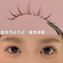 Small Devil Fake Eyelash Woman Nature Emulation Naked Makeup Can Be Reused With Cute Mascara Super Fine Stem Whole Eyelash Eyelash