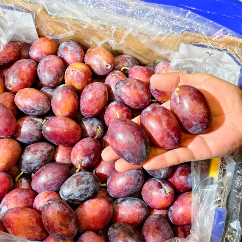 澳洲西梅5斤澳大利亚进口大西梅当季新鲜水果李子纯甜多汁包邮,淘宝优惠券,粉丝福利购,淘宝优惠卷
