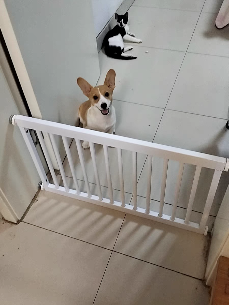 宠物狗狗围栏栅栏室内隔离栏杆防档猫小狗专用门栏护栏笼子小型犬,淘宝优惠券,粉丝福利购,淘宝优惠卷